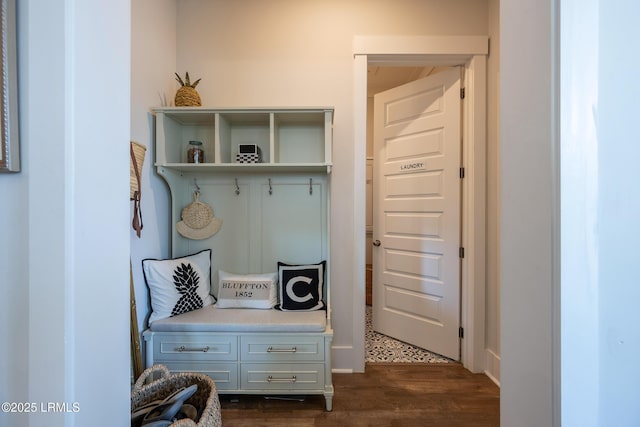 mudroom featuring dark wood-type flooring