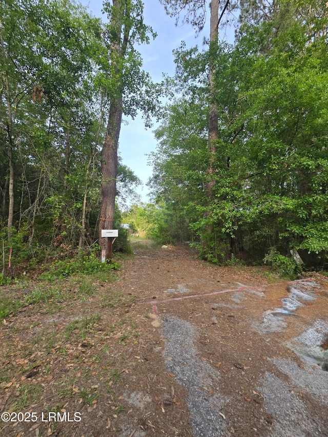 22 Elizabeth Ln, Early Branch, SC 29916