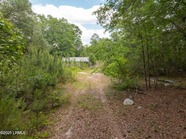 22 Elizabeth Ln, Early Branch, SC 29916