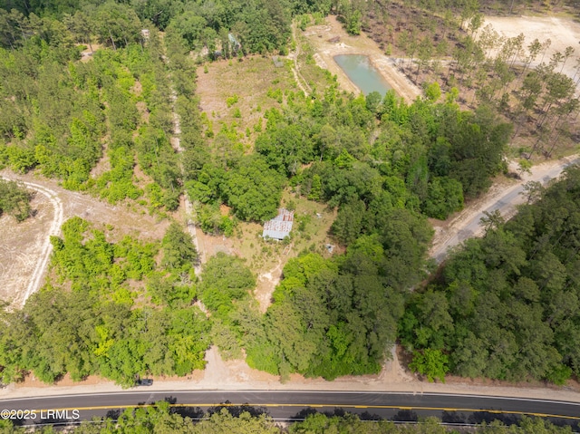 22 Elizabeth Ln, Early Branch, SC 29916