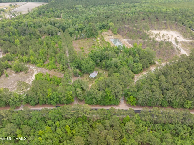 22 Elizabeth Ln, Early Branch, SC 29916