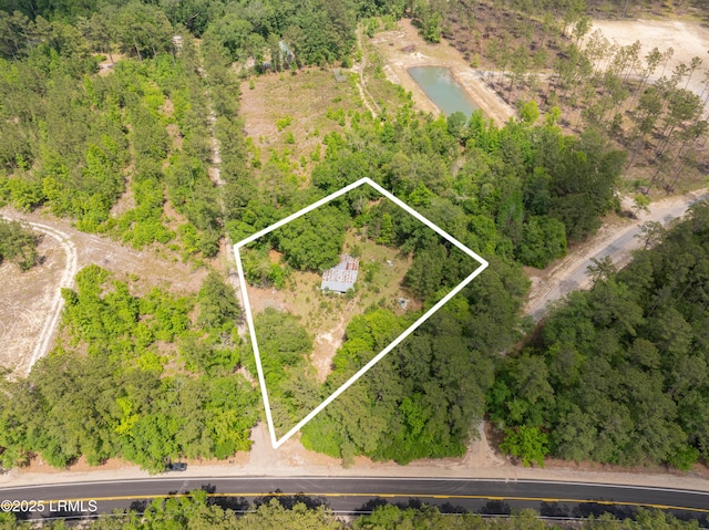 22 Elizabeth Ln, Early Branch, SC 29916