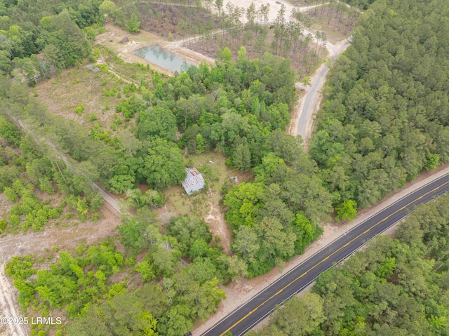 22 Elizabeth Ln, Early Branch, SC 29916