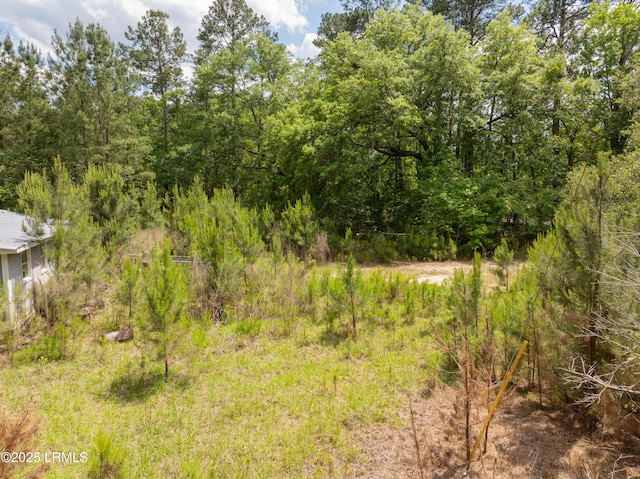 22 Elizabeth Ln, Early Branch, SC 29916