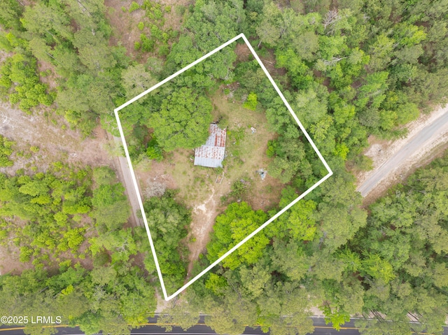 22 Elizabeth Ln, Early Branch, SC 29916