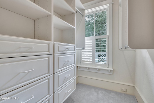 walk in closet featuring light colored carpet