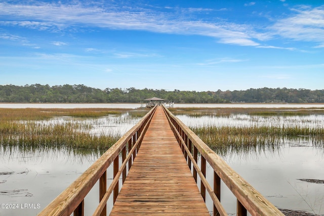 dock area with a water view