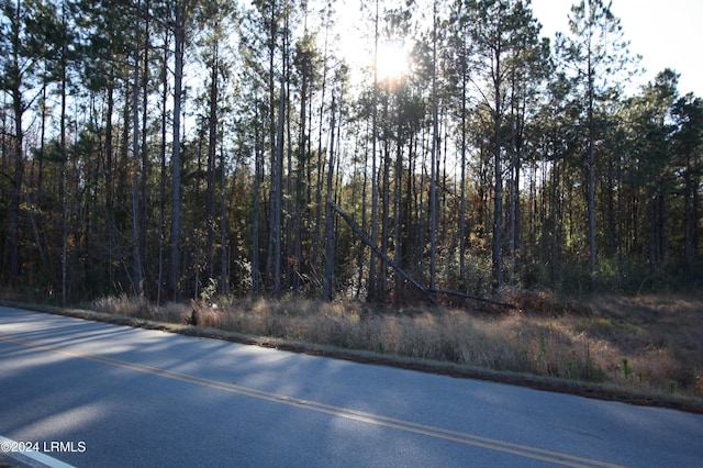 Listing photo 3 for TBD Preschool Rd, Ridgeland SC 29936