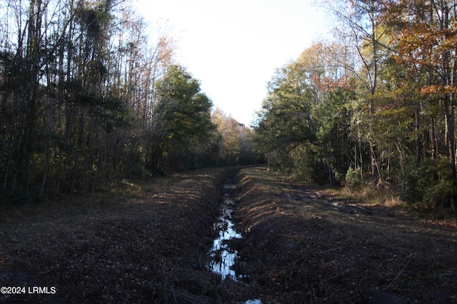 Listing photo 2 for TBD Preschool Rd, Ridgeland SC 29936