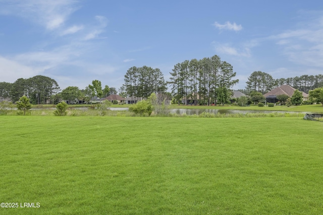 782 Azalea Dr, Hardeeville, SC 29927 - view of green lawn with a water view