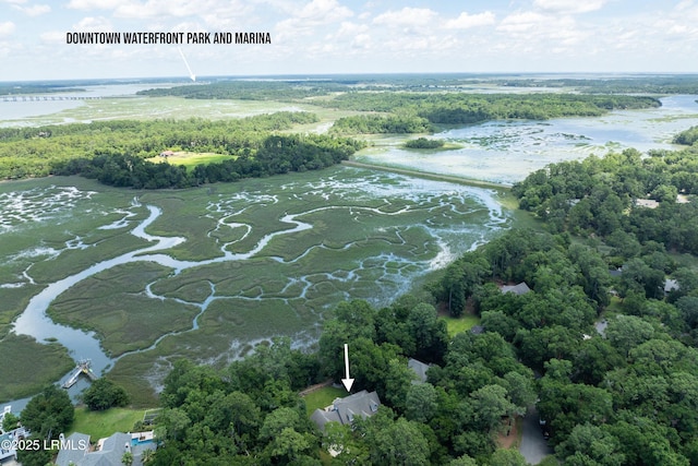 70 Dolphin Point Dr, Beaufort, SC 29907 - view of property location with a large body of water