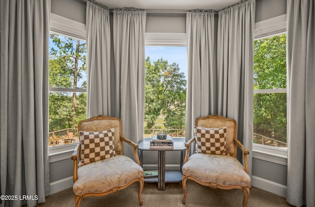 70 Dolphin Point Dr, Beaufort, SC 29907 - living area with carpet flooring and baseboards