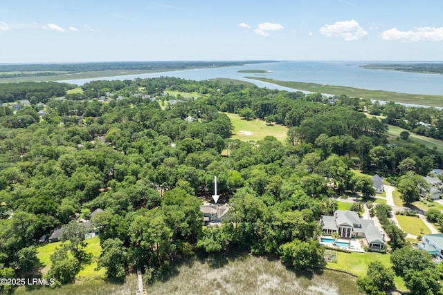 70 Dolphin Point Dr, Beaufort, SC 29907 - aerial view of a large body of water and a forest