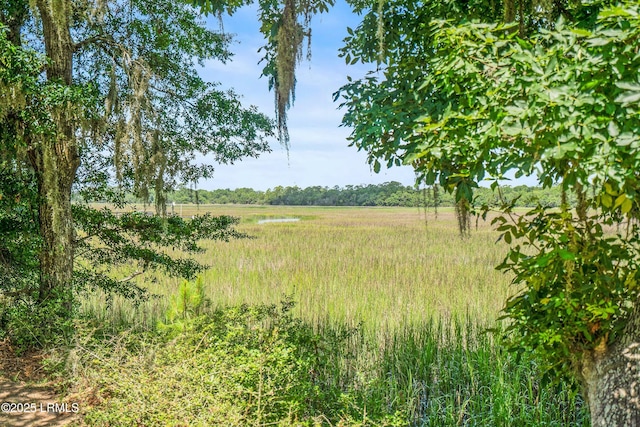 70 Dolphin Point Dr, Beaufort, SC 29907 - view of nature