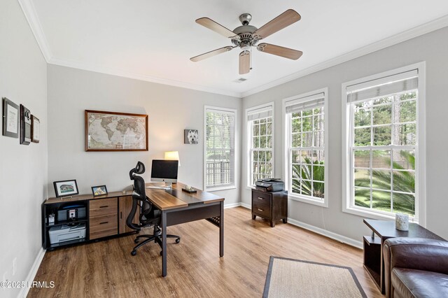 170 Pinecrest Cir, Bluffton, SC 29910 - office area featuring crown molding, light wood finished floors, plenty of natural light, baseboards, and ceiling fan