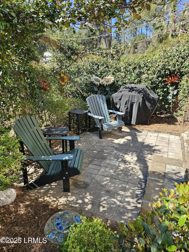 view of patio / terrace with area for grilling