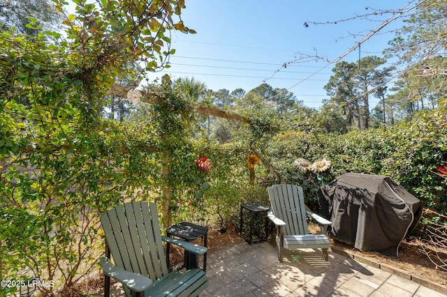 view of patio featuring area for grilling