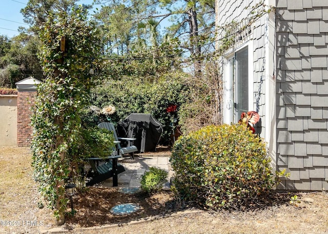 view of yard featuring a patio