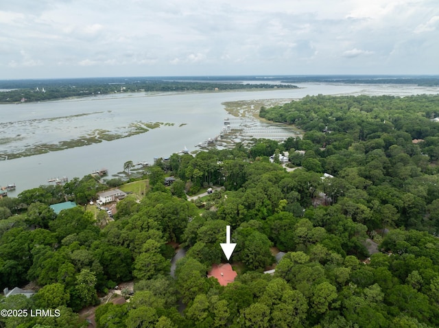 7 Blue Heron Cir, Beaufort, SC 29907 - photo 41
