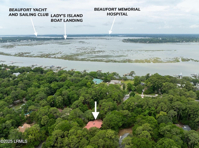 7 Blue Heron Cir, Beaufort, SC 29907 - photo 39