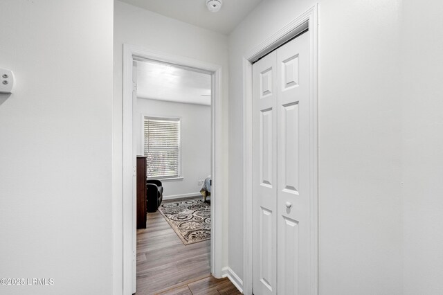 32 Applemint Ln, Beaufort, SC 29906 - photo 32
