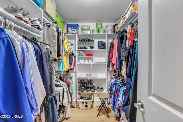 walk in closet featuring wood-type flooring