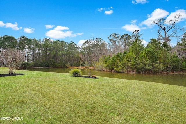 view of yard featuring a water view and a forest view