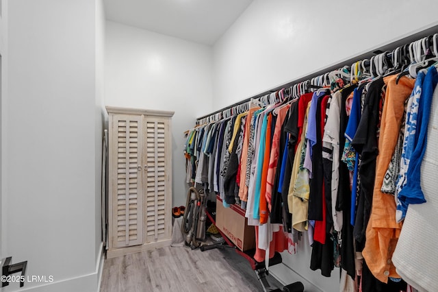 spacious closet featuring wood finished floors