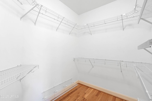 spacious closet featuring light wood finished floors