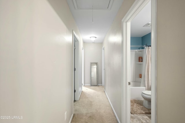 hall featuring light colored carpet