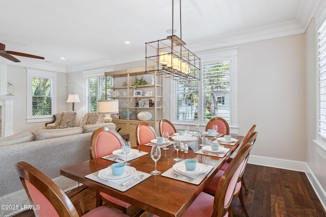 dining room with crown molding, ceiling fan with notable chandelier, and dark hardwood / wood-style floors