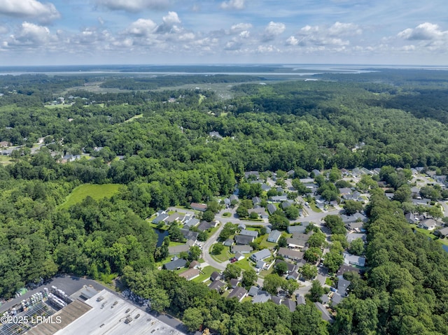 125 Harvest Cir, Bluffton, SC 29910 - bird's eye view of a forest
