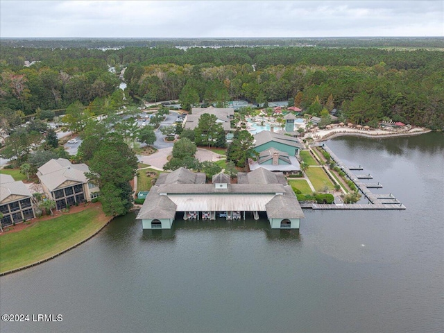 drone / aerial view with a water view and a view of trees