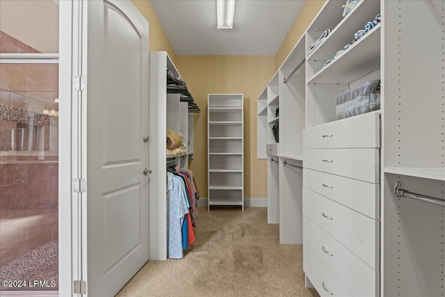 spacious closet featuring light colored carpet