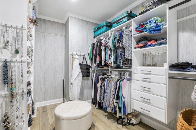 spacious closet with light hardwood / wood-style floors