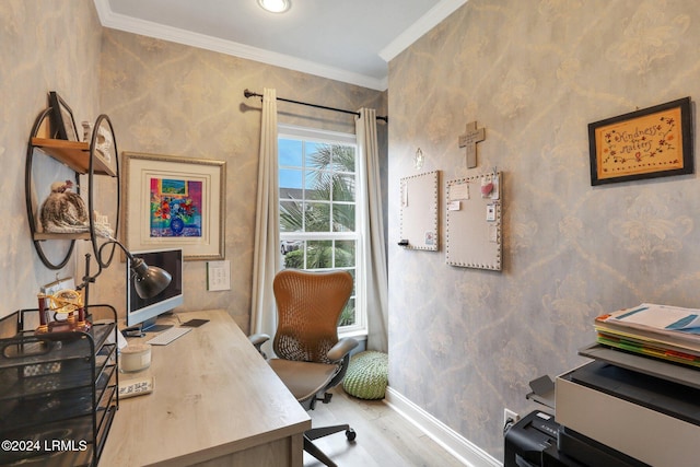 home office with crown molding and light hardwood / wood-style flooring