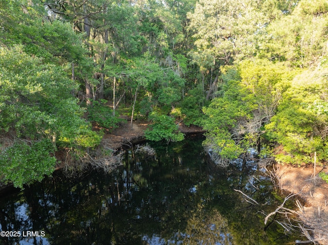 67 Marsh Hawk Dr, Beaufort, SC 29907 - photo 9
