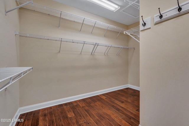 walk in closet featuring dark wood-type flooring