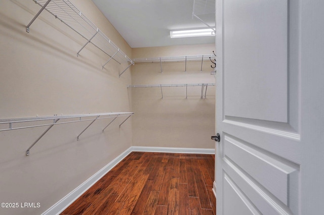 walk in closet with dark hardwood / wood-style floors