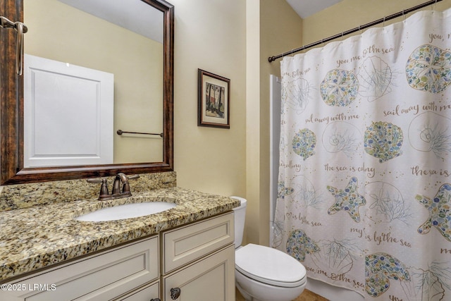 bathroom featuring vanity, toilet, and a shower with curtain