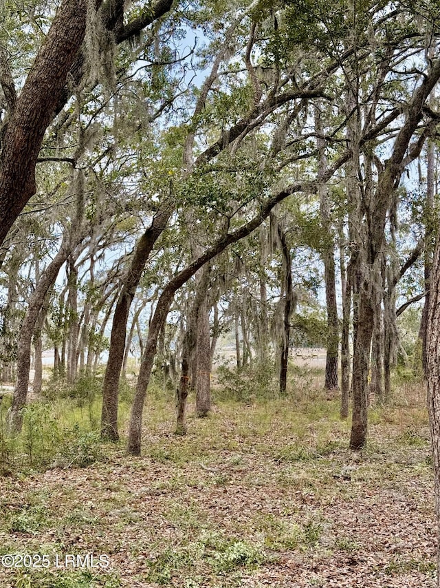 2218 Spanish Ct, Beaufort SC, 29902 land for sale