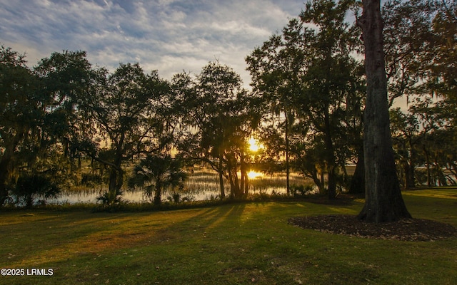 22 Harford Unit B, Beaufort, SC 29906 - view of green lawn