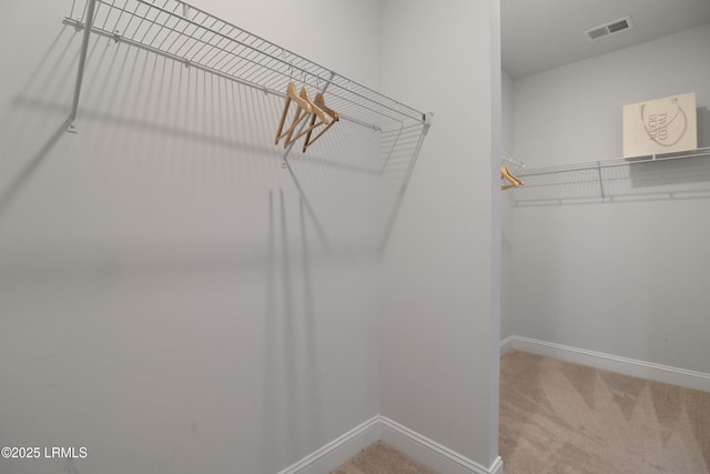 587 Hulston Landing Rd, Bluffton, SC 29909 - walk in closet with carpet flooring