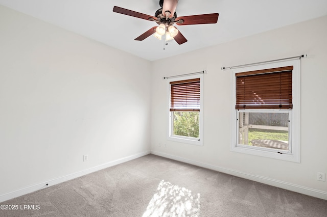 1007 Mustelidae Rd, Beaufort, SC 29902 - photo 33