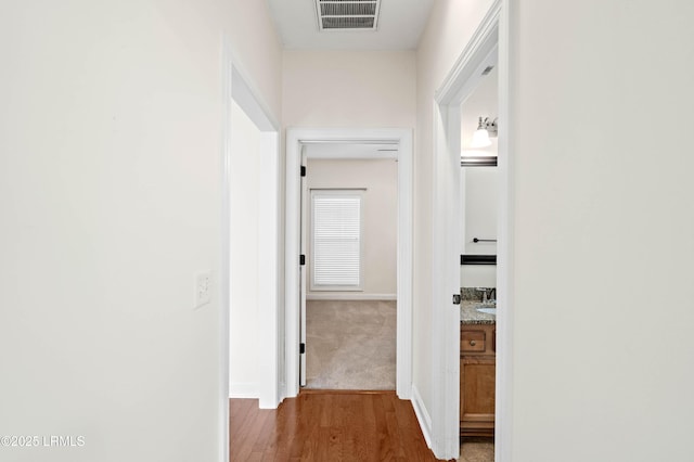 1007 Mustelidae Rd, Beaufort, SC 29902 - photo 35