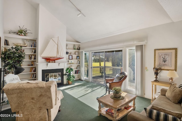 living room featuring lofted ceiling, built in shelves, track lighting, and carpet