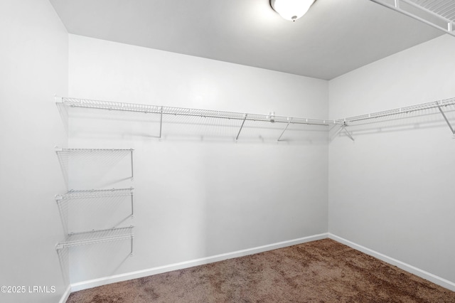21 Chestnut St, Beaufort, SC 29906 - photo 20