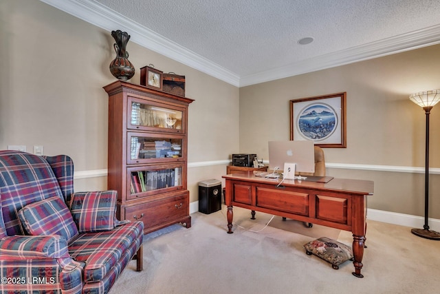 carpeted office with ornamental molding and a textured ceiling