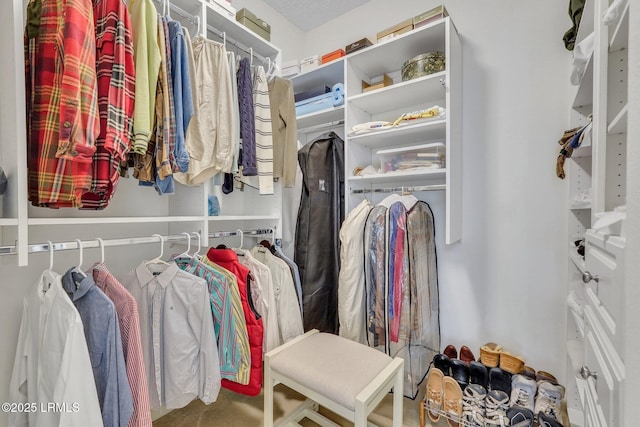 view of spacious closet