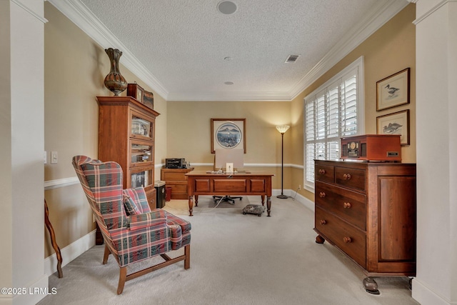 carpeted office with ornamental molding and a textured ceiling